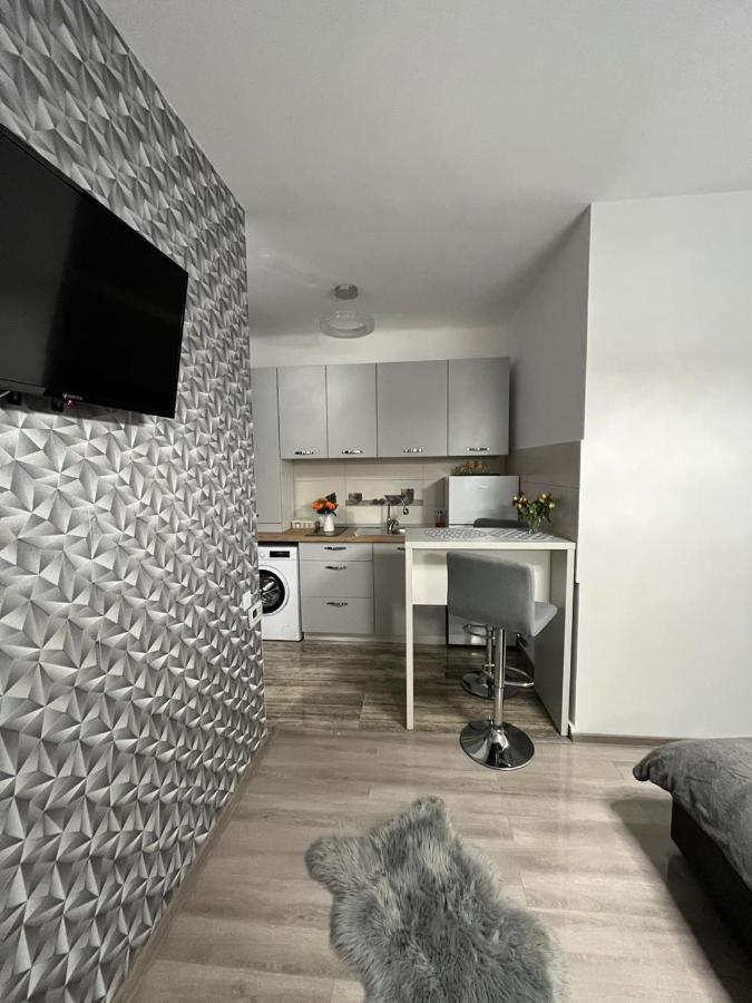 Central Studio Брашов Экстерьер фото