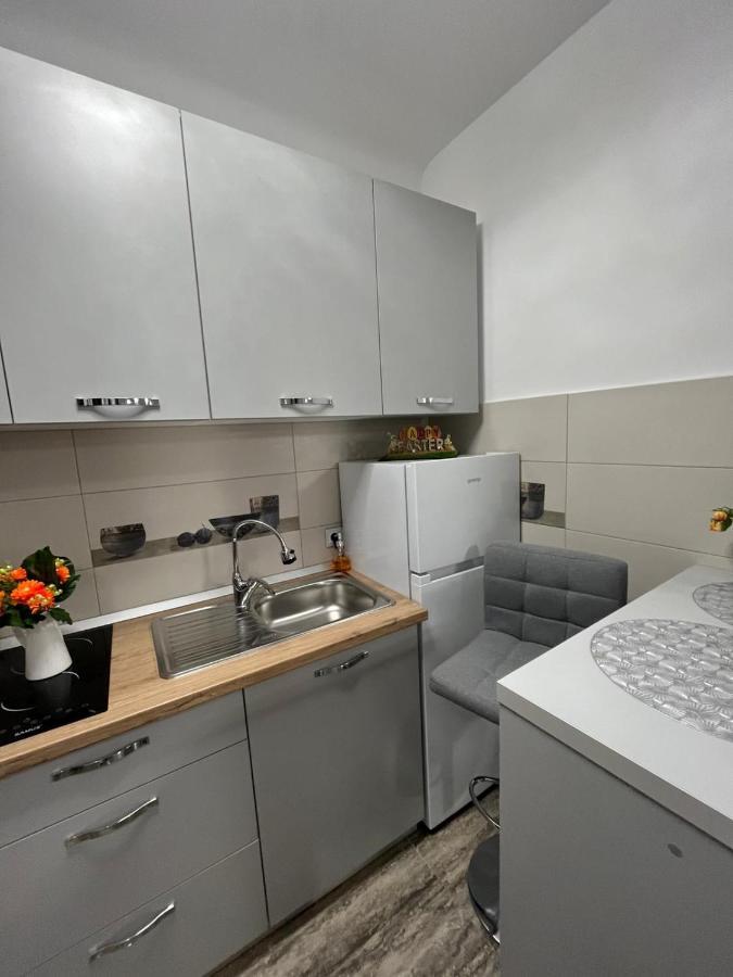 Central Studio Брашов Экстерьер фото